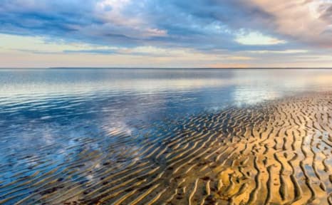 Walk on the Ocean Floor at the Brewster Flats (Brewster)