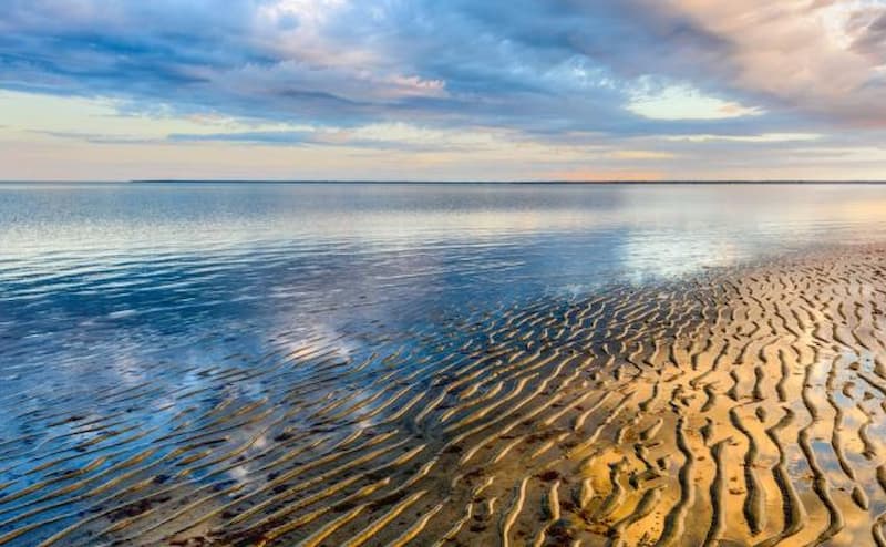 Walking on the Ocean Floor: The Magic of the Brewster Flats