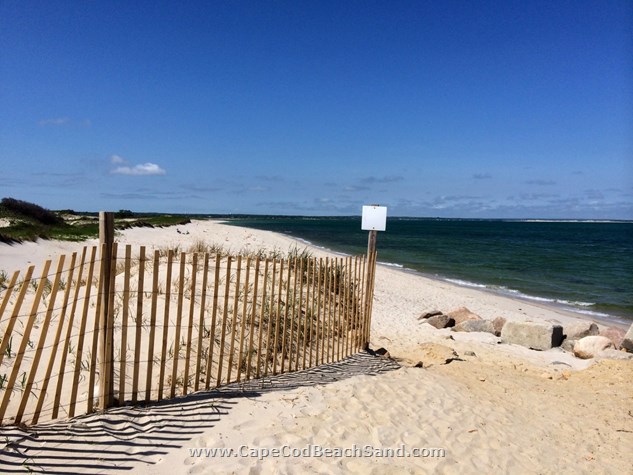 Chapin Memorial Beach