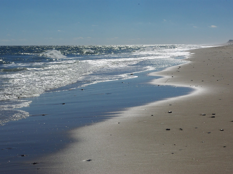 Lecounts Hollow Beach