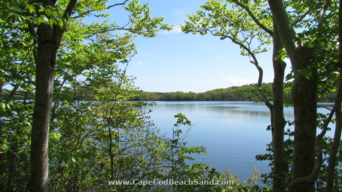 Mashpee-Wakeby Pond Beach